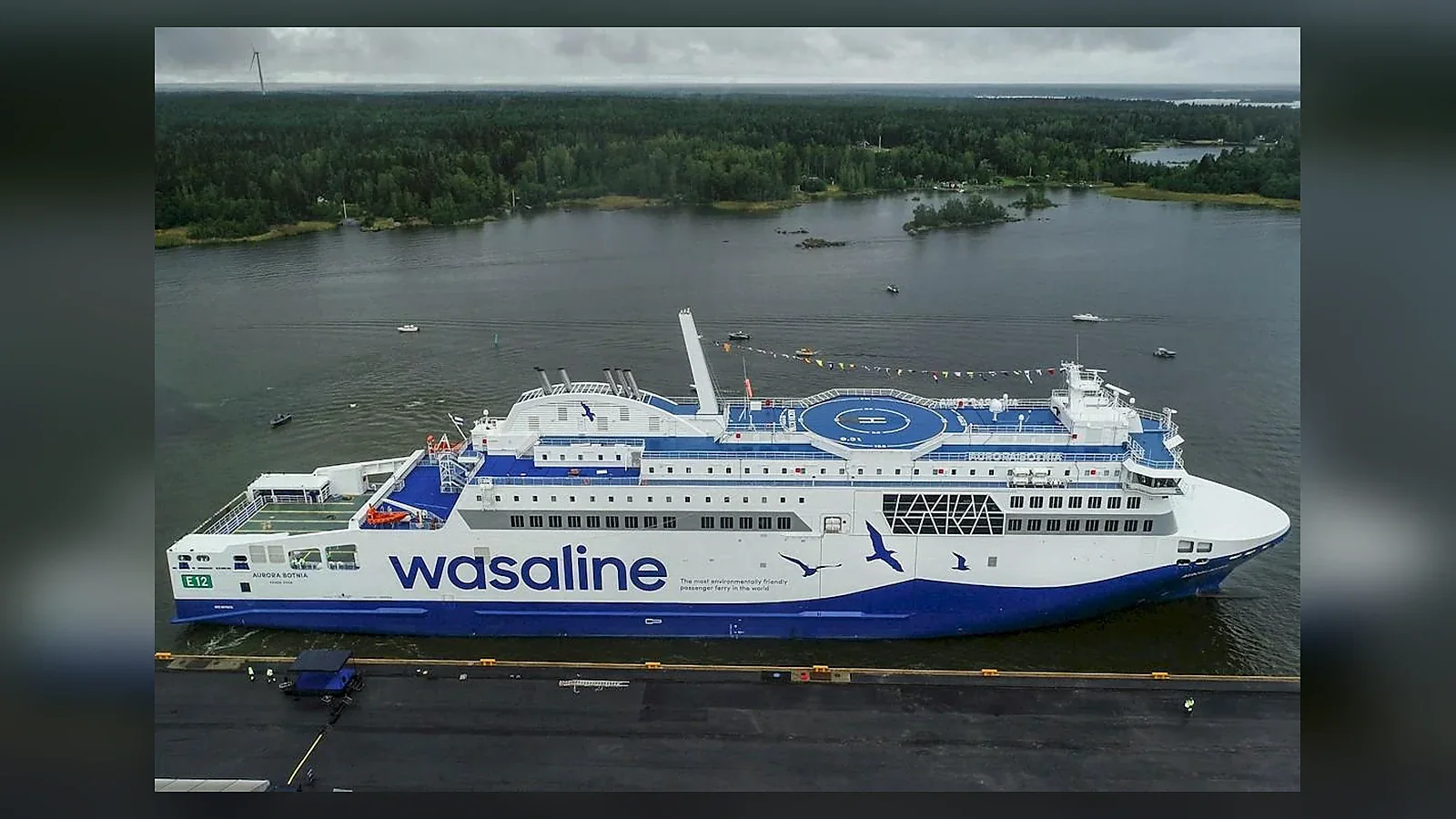 Wasaline