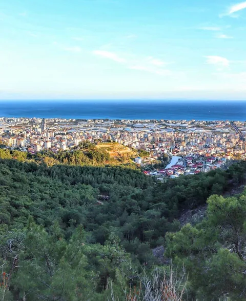 Anamur